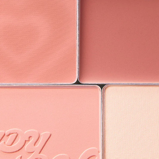 2 in 1 Blush Highlight Palette