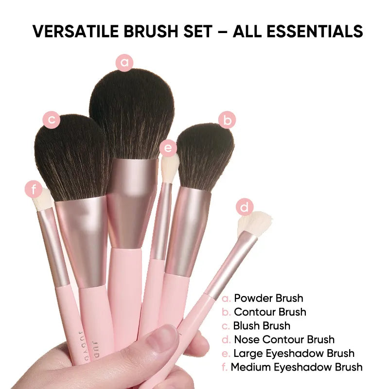 Professional 6-Piece Brush Set
