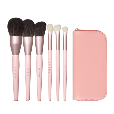 Professional 6-Piece Brush Set