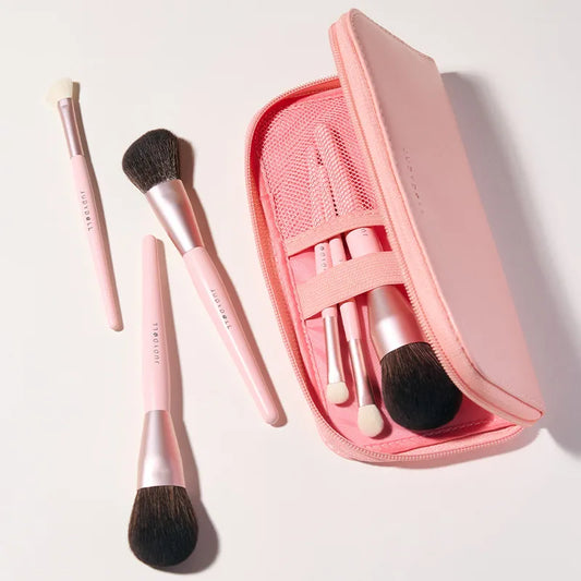 Professional 6-Piece Brush Set
